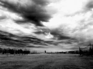 Stan WIlliams Image 7 Cloudy Skies