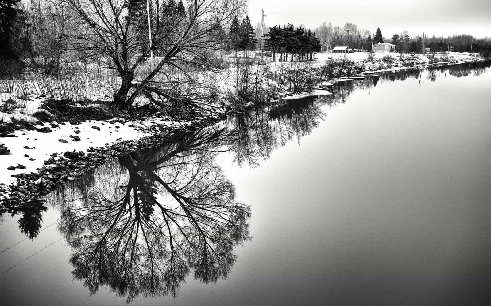 Stan Williams Image River in the winter