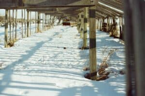 Snow under bridge; photo by Seth Arcand