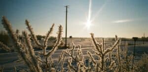 Seth Arcand Image