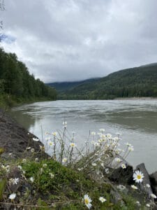 Skeena River Image