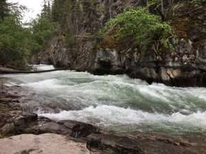 River Image