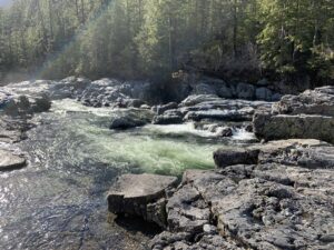 Stream